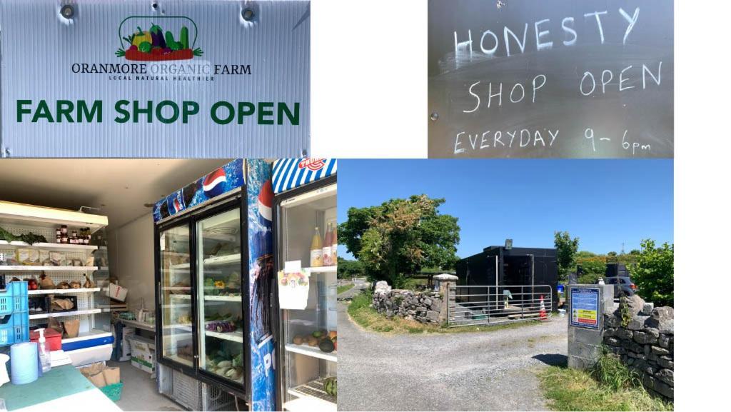 The Cosy Studio By The Shore Galway Ngoại thất bức ảnh